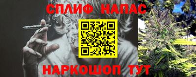 a pvp Дубна