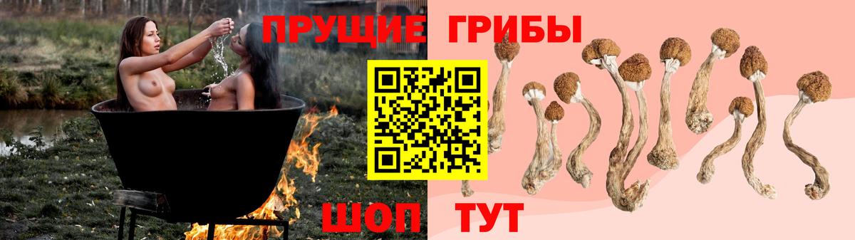 Псилоцибиновые грибы ЛСД  Вход с VPN  Галлюциногенные грибы Psilocybe  Нерюнгри 